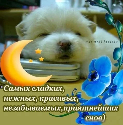 🥰 Оставляйте реакции, если понравилась открытка и делитесь с близкими ❤

Подпишитесь и Вы не сможет