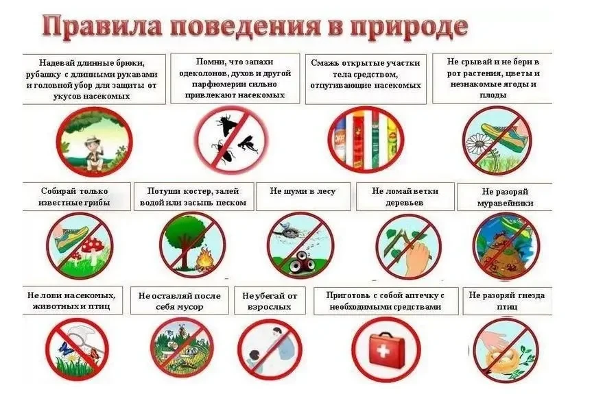 Уважаемые жители! Памятка по безопасности на пикниках
