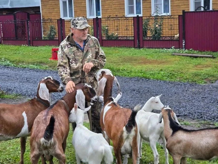 🐐 Доброе утро от шерстяных жителей Первых Тойси! А заодно — история о том, как обычное...