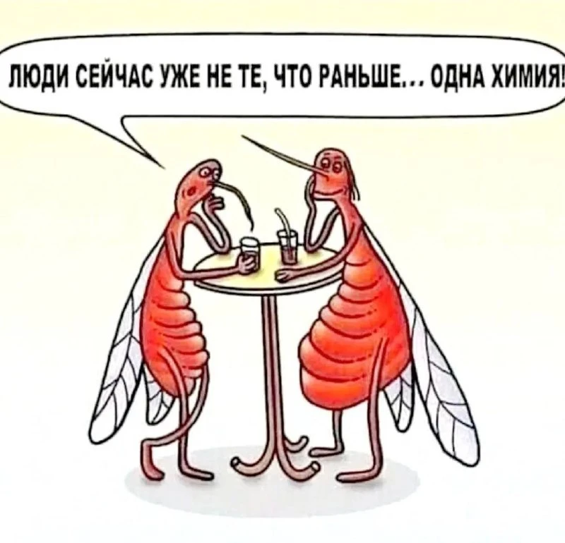 КУКУРУЗА 🌽