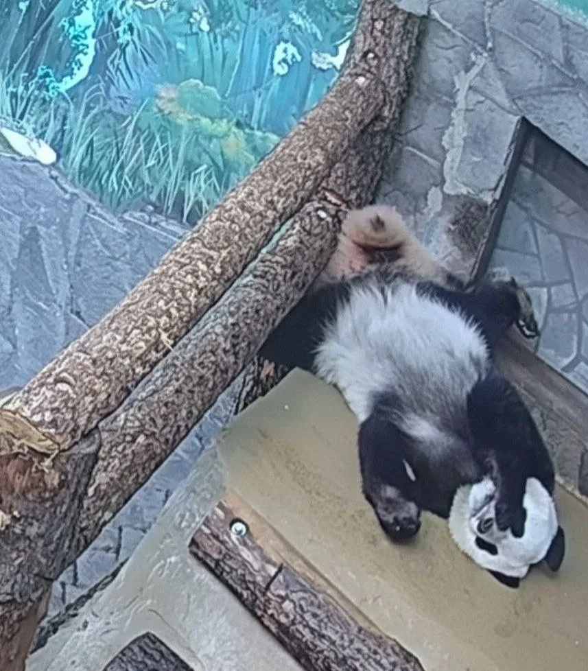 😍 Катюша уже уснула и думает про выходные