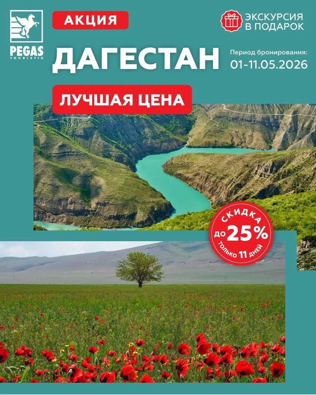 Дорогие друзья!