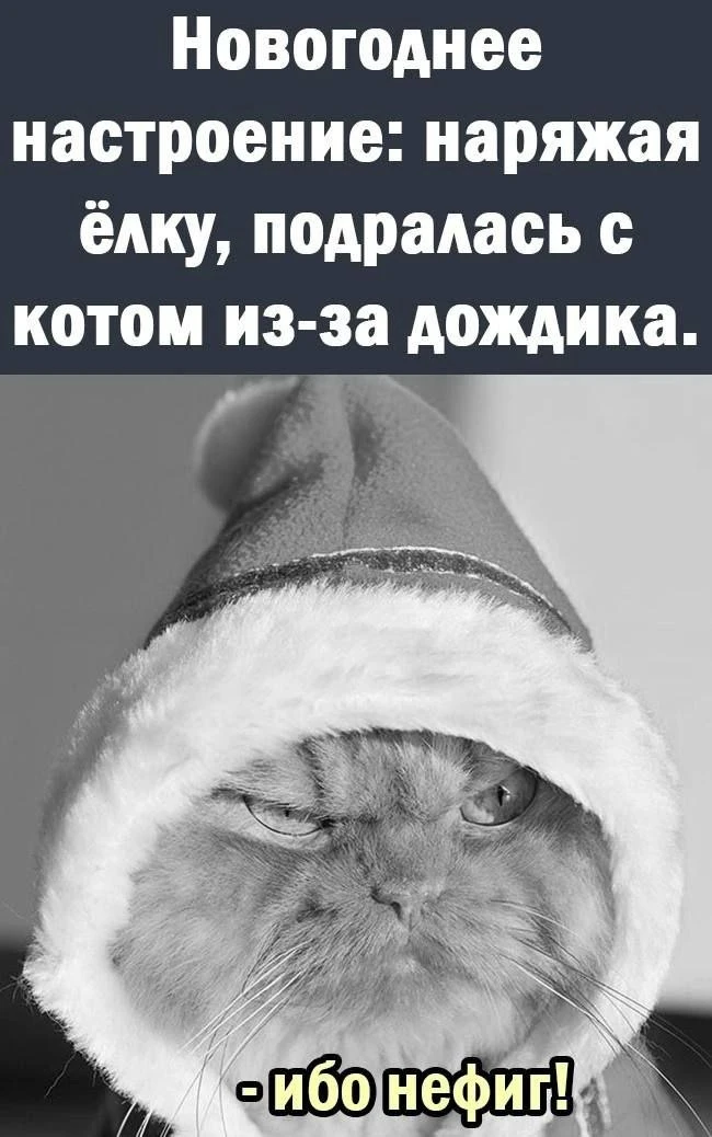 Смех без границ
