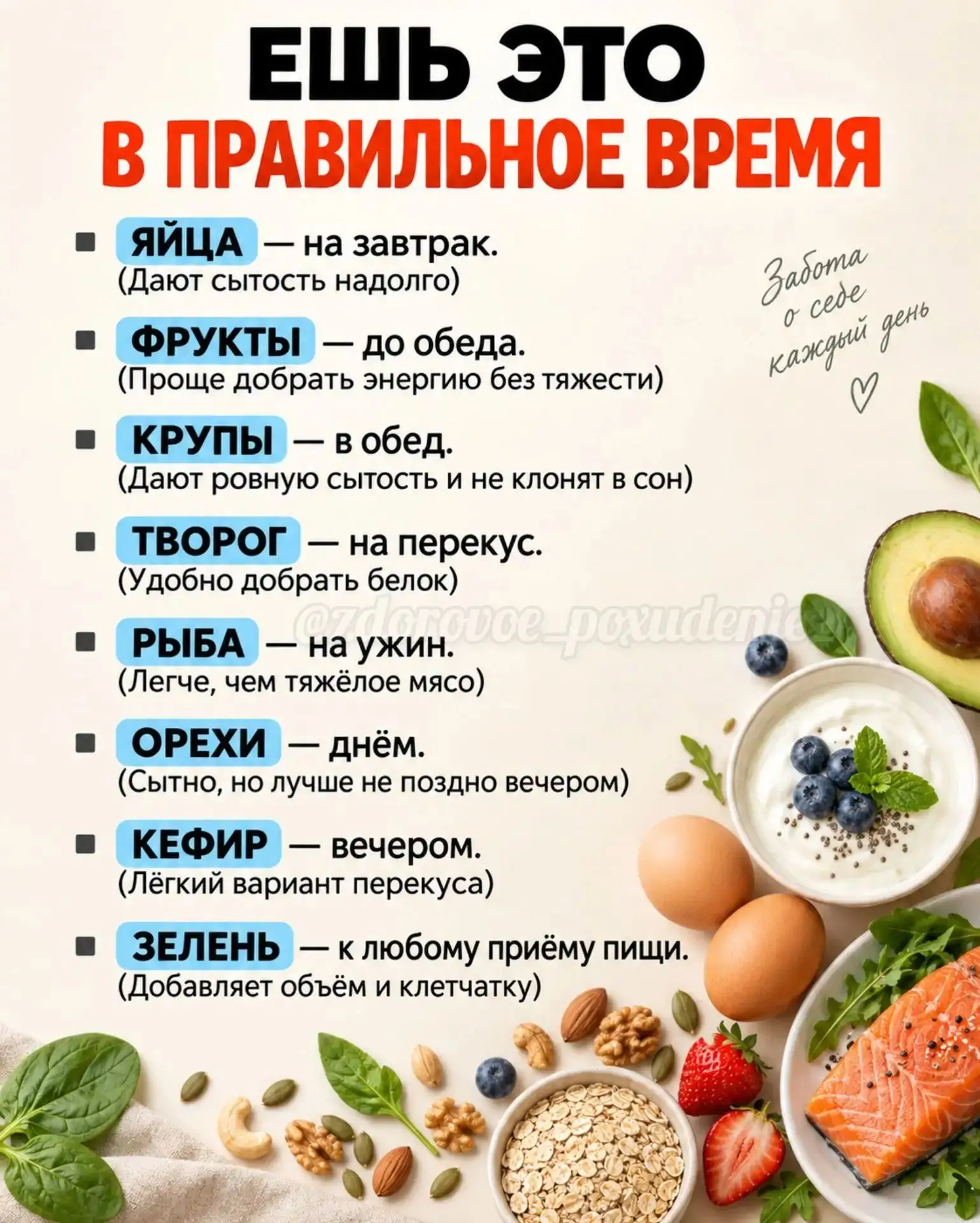 Есть ли у еды «правильное время»? ⏰🥑