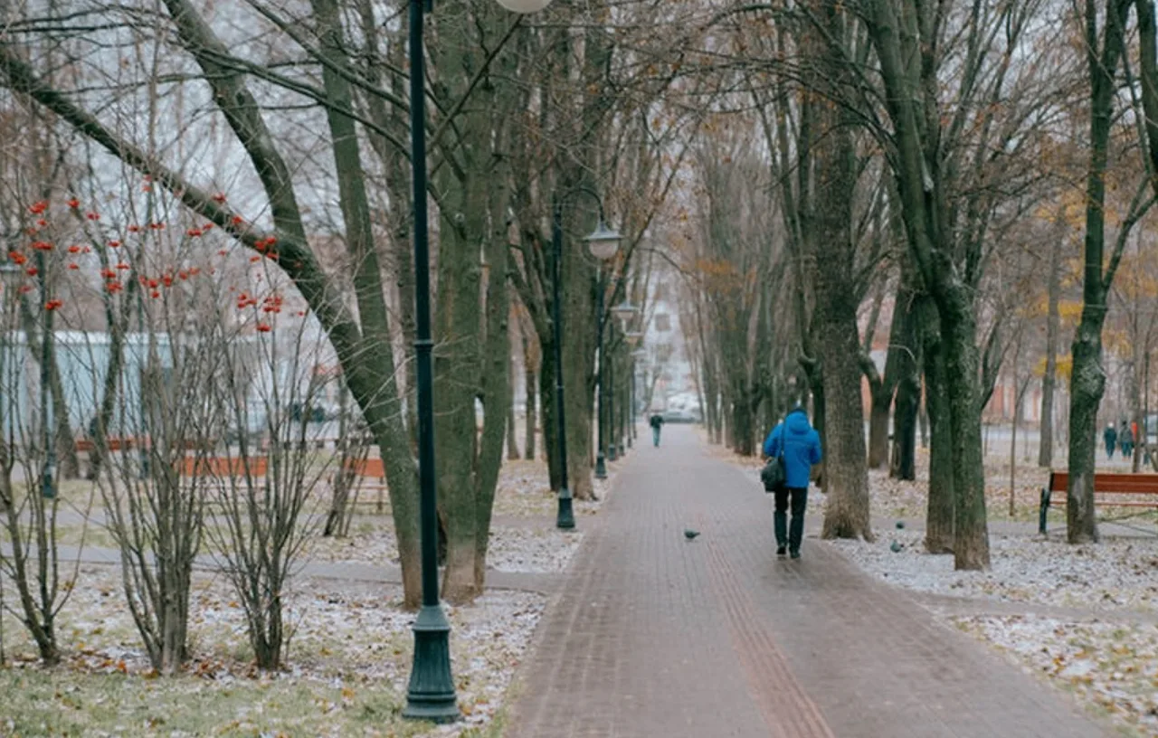 Прогноз на день