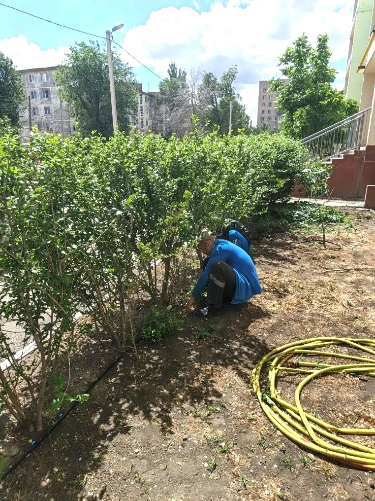 К новости «🌿 Зеленый оазис у дома: монтируем систему автополива!»