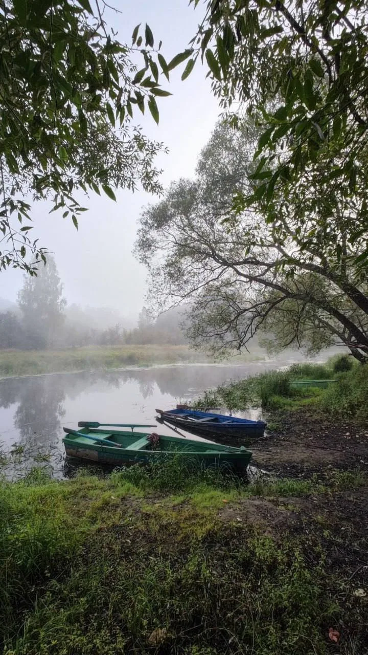 Мещера, городской округ Шатура

📸 Александр Виноградов

Бесплатная Москва