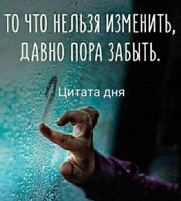 #цитатадня