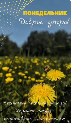 Доброе утро! 🌞
Новая неделя — отличный повод узнать что-то удивительное о нашем мире. 🌿Природа пол