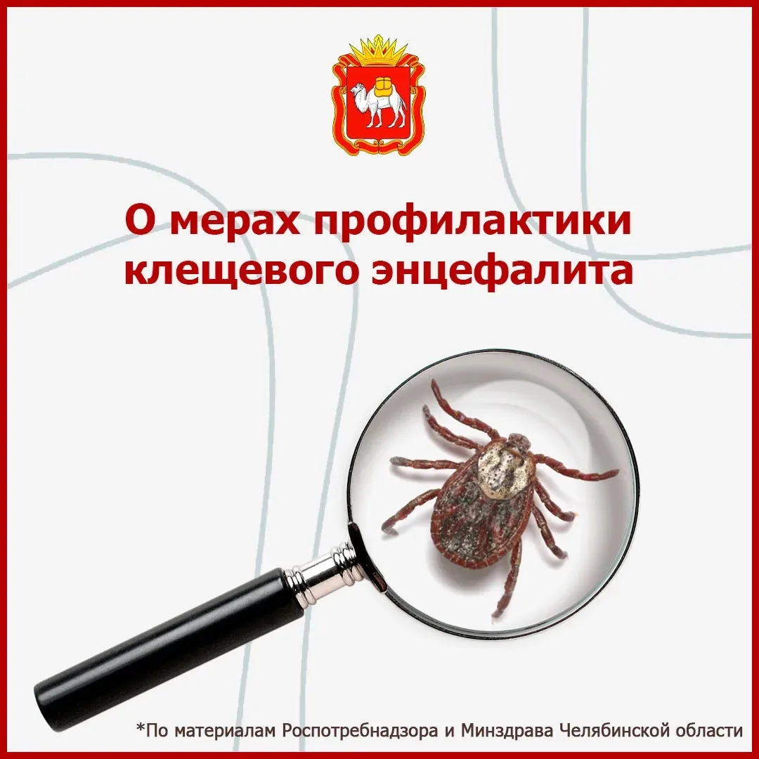 🌲 Клещевой энцефалит: как защитить себя?  Сезон активности клещей уже начался. Чтобы не рисковать зд