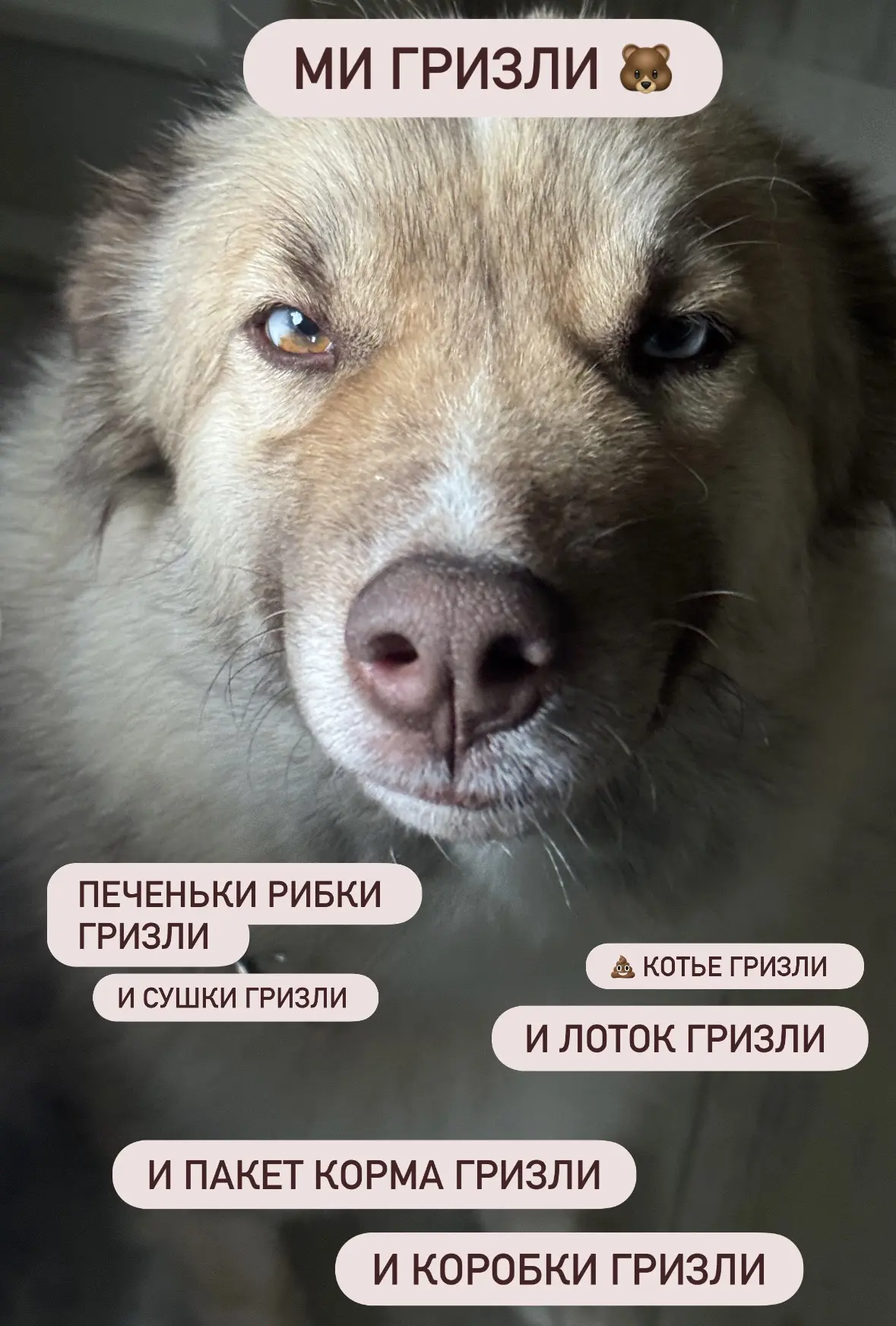 #Баечка_и_КО