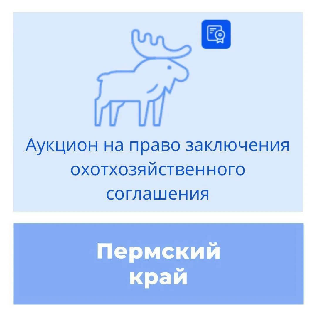 11.11.2026 г. в Пермском крае состоятся торги на право заключения охотхозяйственного со...