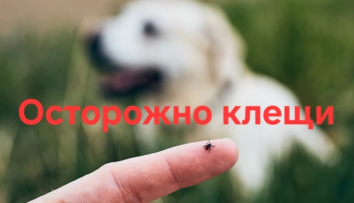 Важно и срочно!