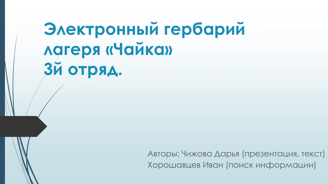 ЮНЫЙ НАТУРАЛИСТ 🌿📸

В лагере запустили эко-миссию «Юный натуралист»! Ребята фотографируют растения