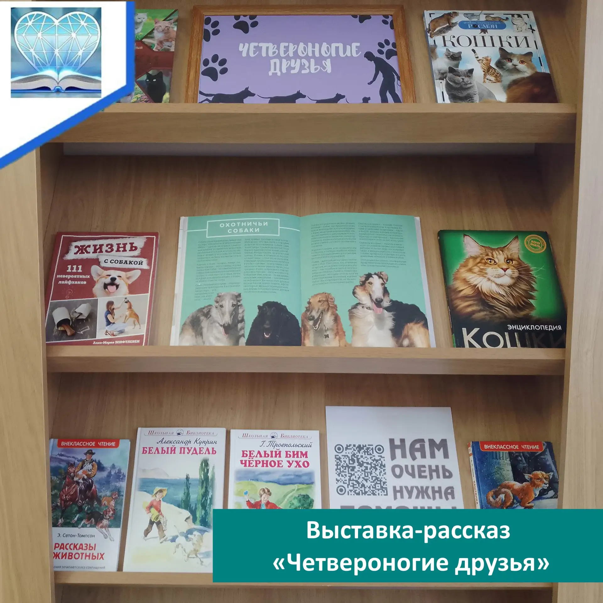 19 августа во всем мире отмечается День защиты бездомных животных. Это дата, заставляющ...