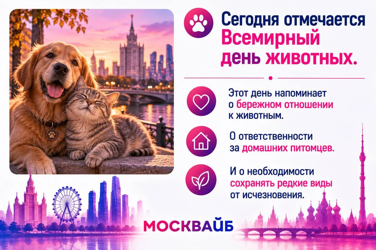 🐾 Сегодня отмечается Всемирный день животных.