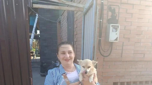 Красноярские полицейские вернули домой пропавшую собаку