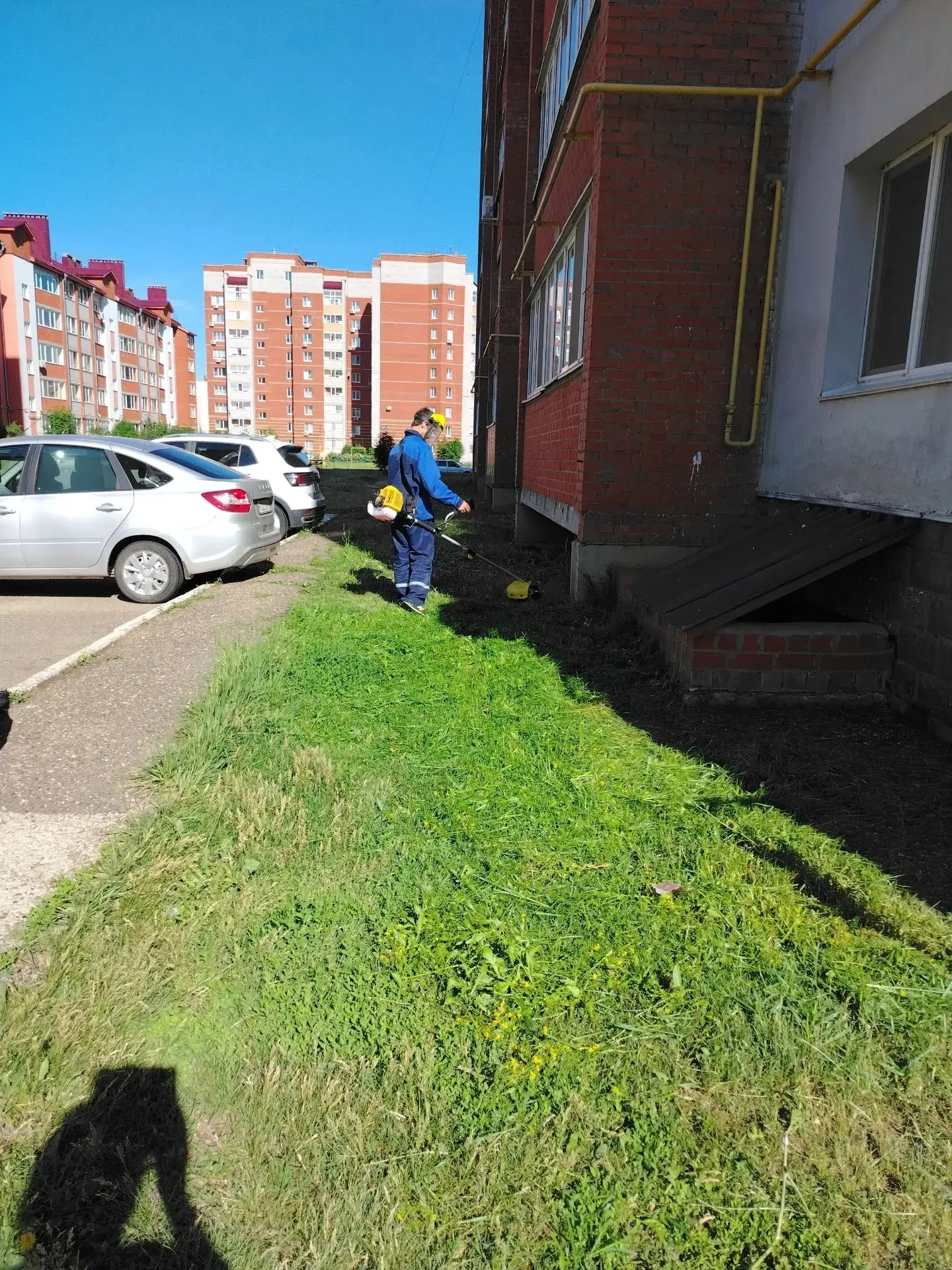 Благоустройство двора: порядок на газонах.