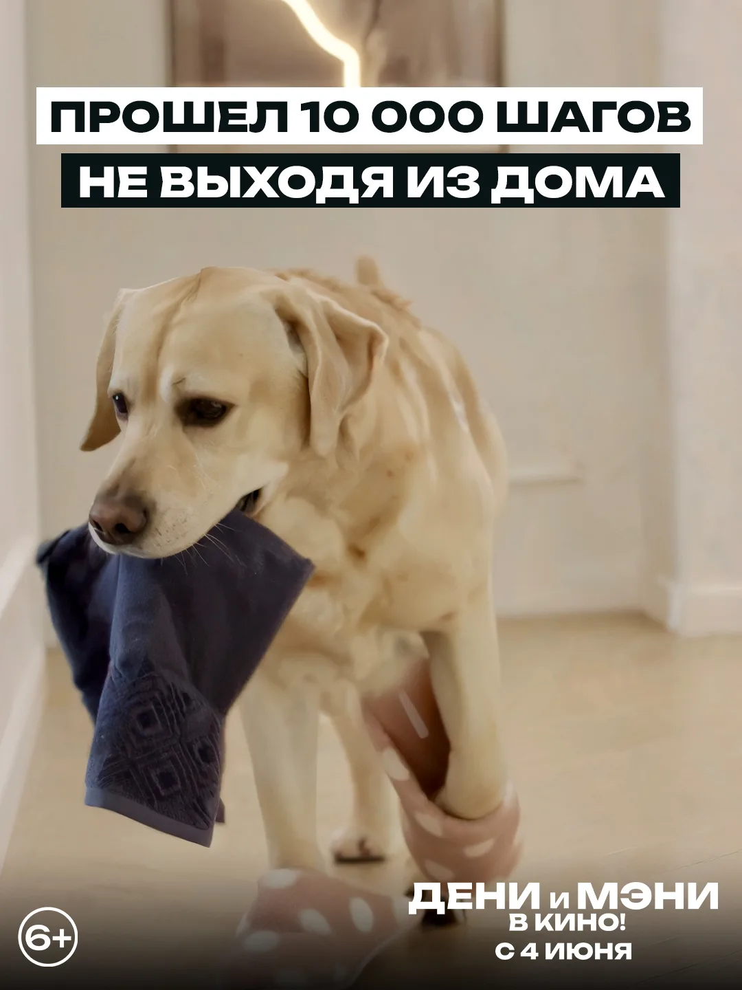 «Дени и Мэни. В кино!» 🐕 

Билеты на сайте sakhkino.ru, в мобильном приложении Сахкино и в кассе КК