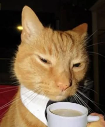 ☕ Кофе может стать роскошью

Экономисты прогнозируют, что минимальная стоимость чашки может достичь 