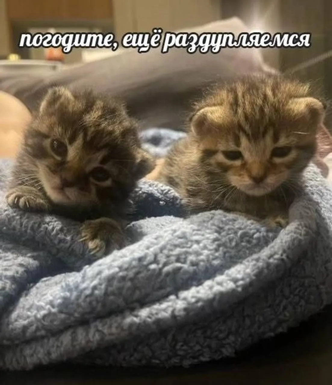 Мемы каждый день • Подписаться