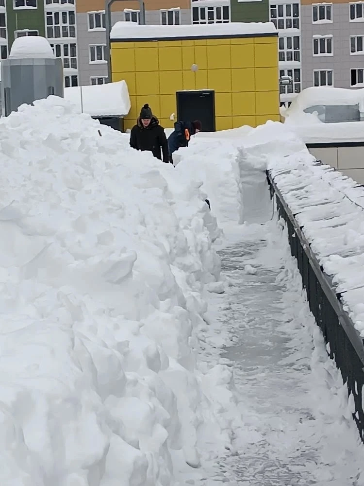 ❄️ И вновь на помощь пришли отцы!  После обильных снегопадов крыша лицея покрылась объемной белоснеж