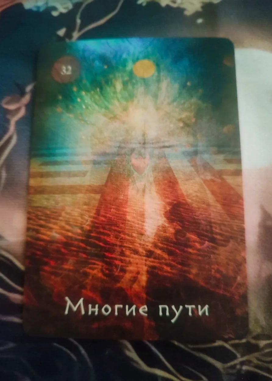Оракул шамана-мистика.
Многие пути.
Суть. 
Все наши пути ведут к Высшим Силам, но в наших руках то, 