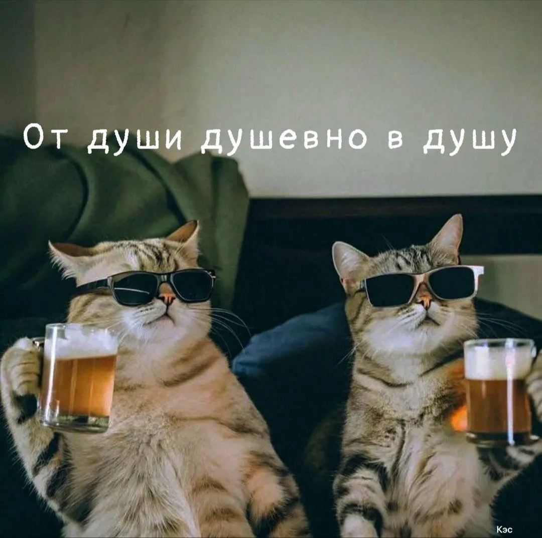 🤗Сегодня — День дружбы 

Отправляй свои близким ➡️

         ⬇️ПРИСОЕДИНЯЙСЯ⬇️
✔️ ВК БОРИСОГЛЕБСК
✔