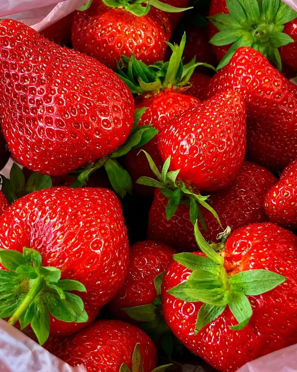 🍓 В ХЕППИ начался сезон клубники.
Коллеги угощают. Мы, конечно, сопротивлялись. Но недолго 🥺

У