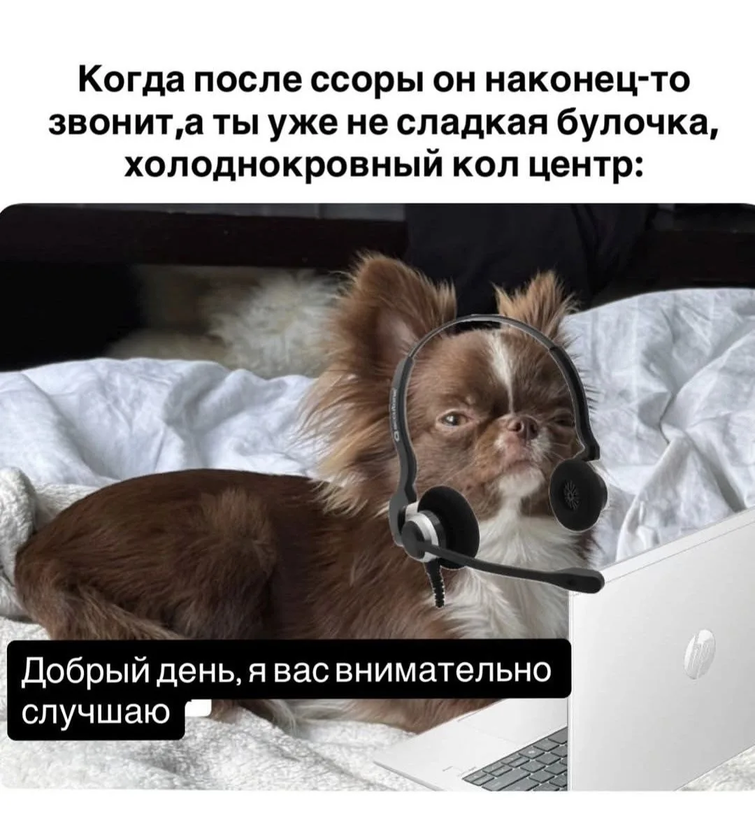 😂😂😂😂