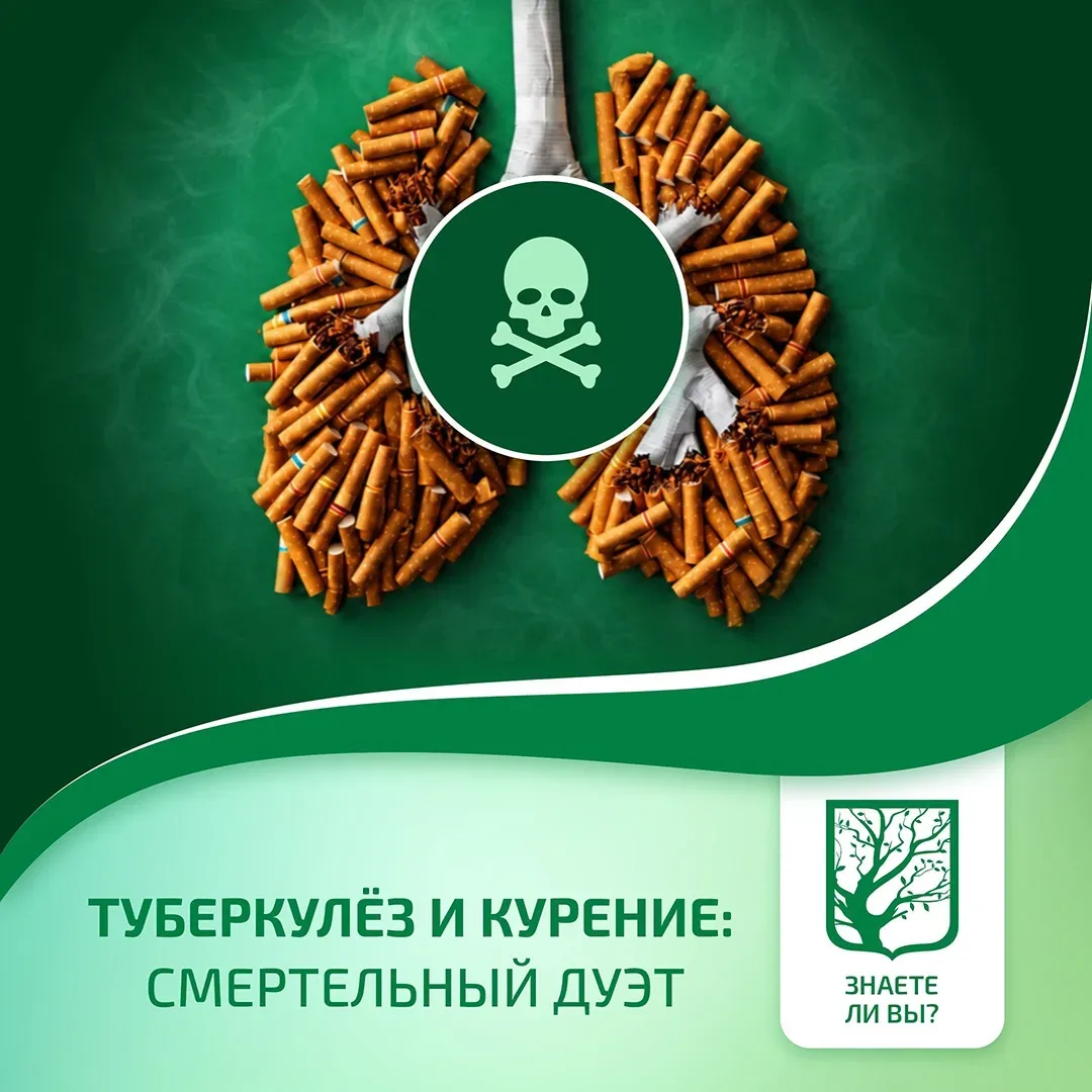 🩺 Вы думаете, что главный враг лёгких — это Mycobacterium tuberculosis? Наука говорит,...