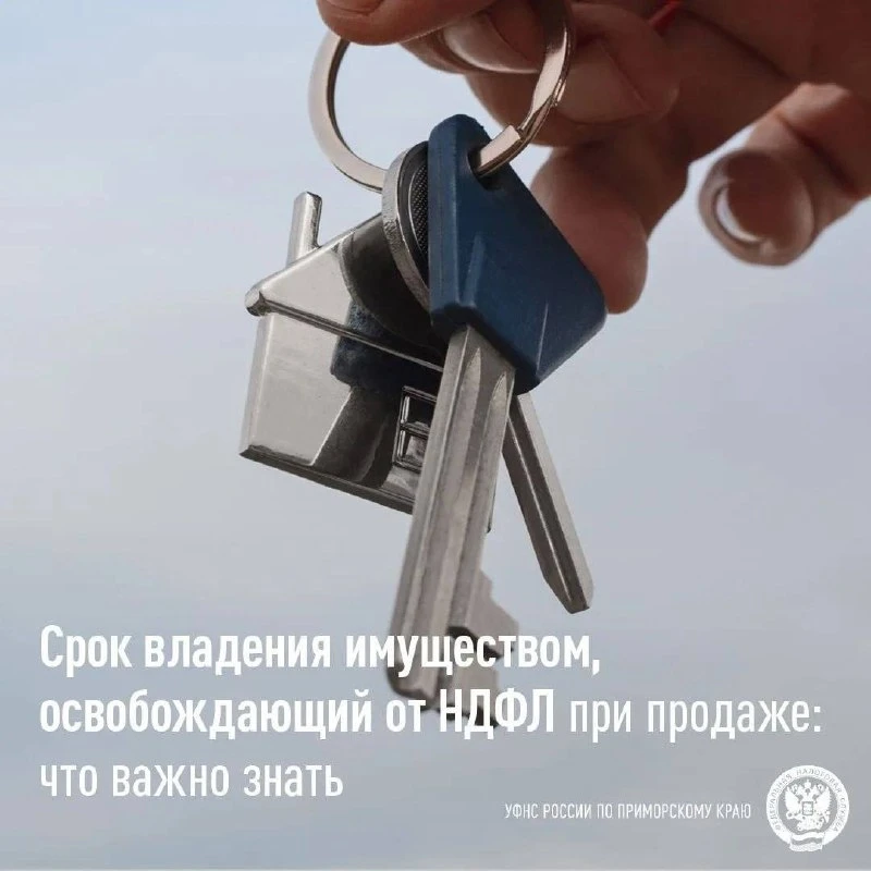 🏫 При продаже недвижимости, автомобиля или другого имущества не всегда возникает обяза...