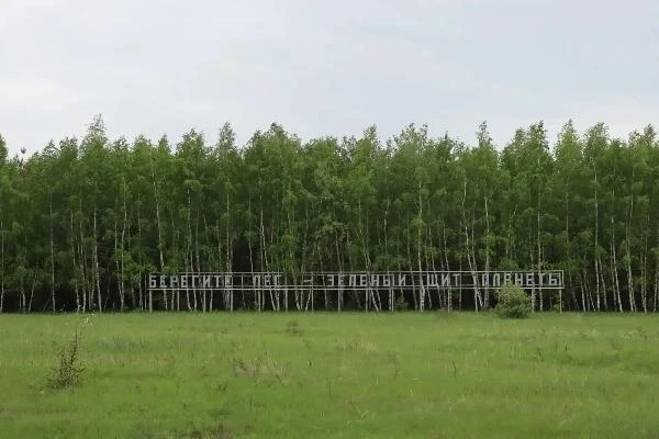 С 20 августа на землях лесного фонда Саратовской области в целях обеспечения пожарной б...