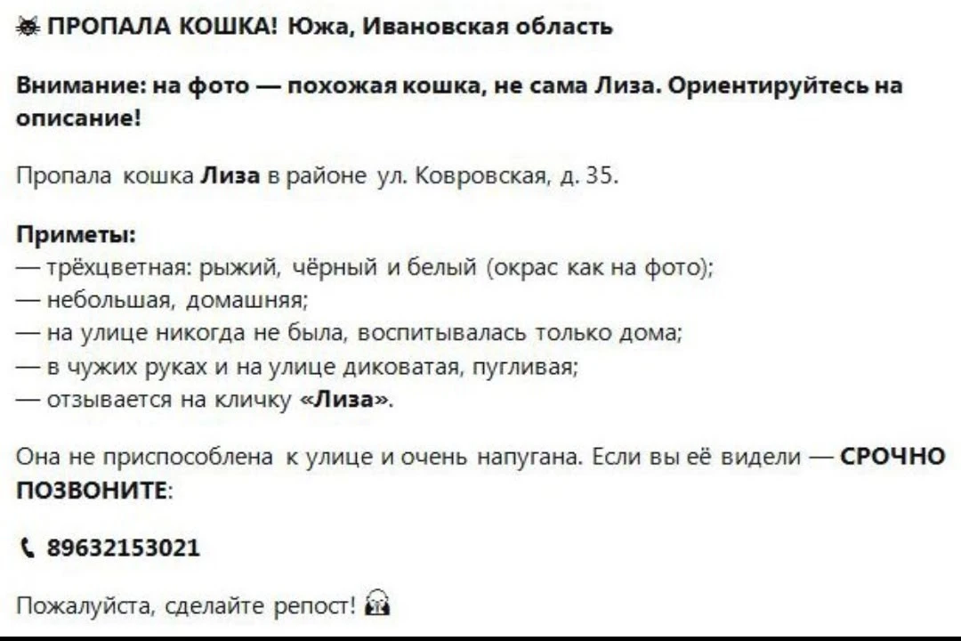 Еже раз опубликуйте пожалуйста 🙏