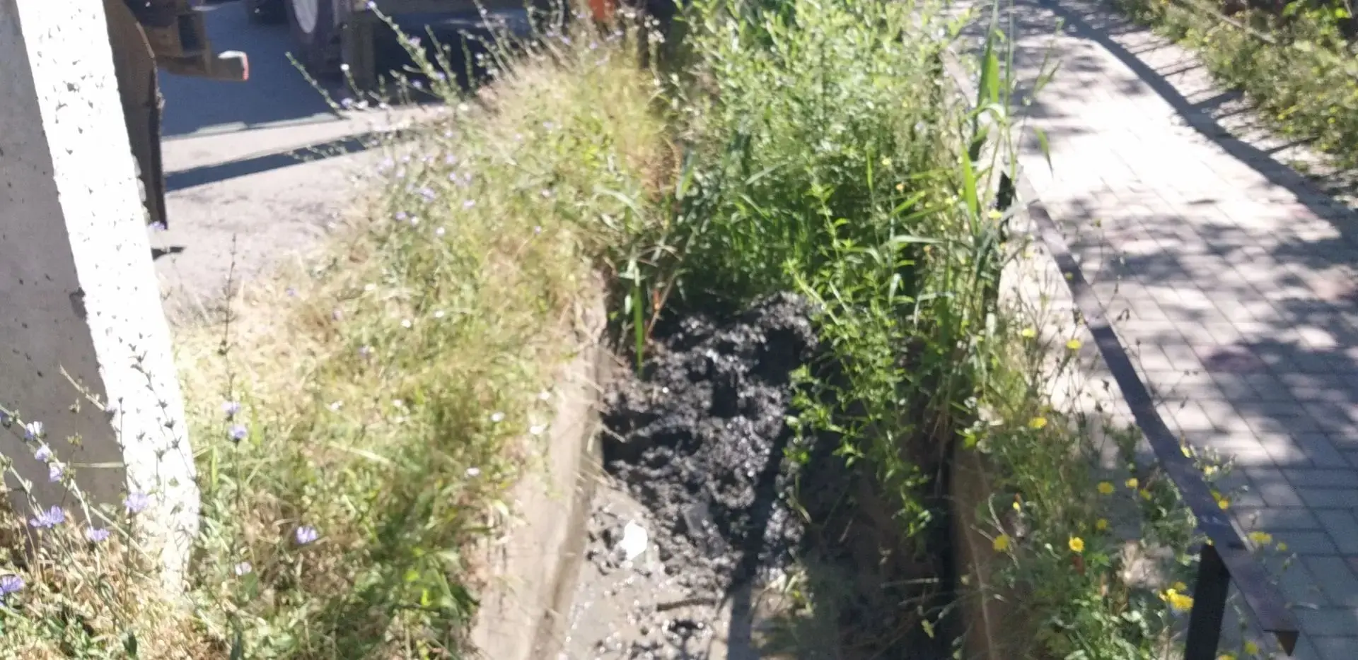Когда город дышит свободно 🌿