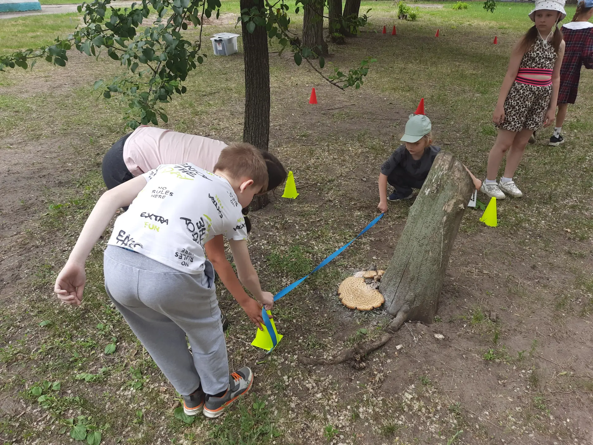 🏡 15 июня 2026 г. в пришкольном лагере "Ромашка" на базе МБОУ Гимназия №9 г.Воронеж провели 5 экоме
