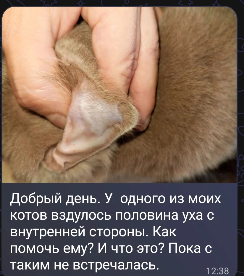 Регулярно такие вопросы возникают. В прошлый раз более показательное фото присылали.