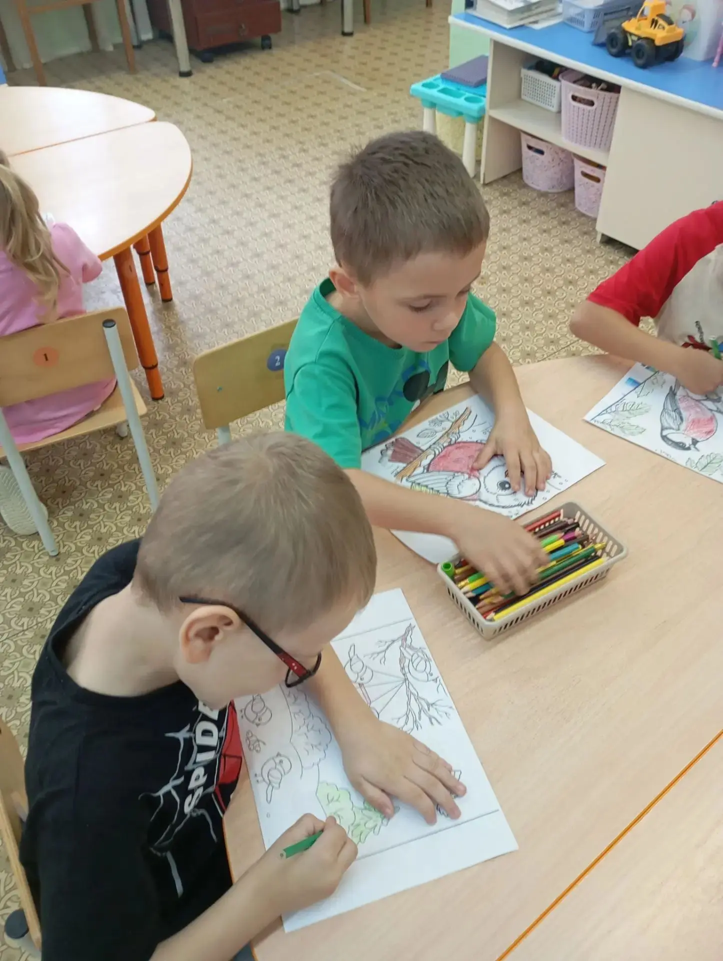 Всё о птицах🐦