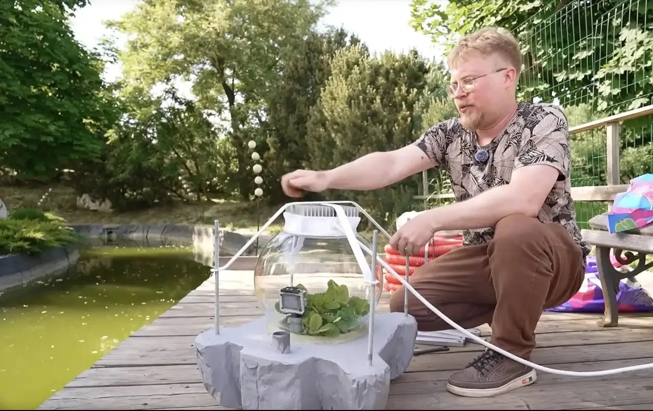 Можно ли вырастить клубнику на дне Волги? 🤔