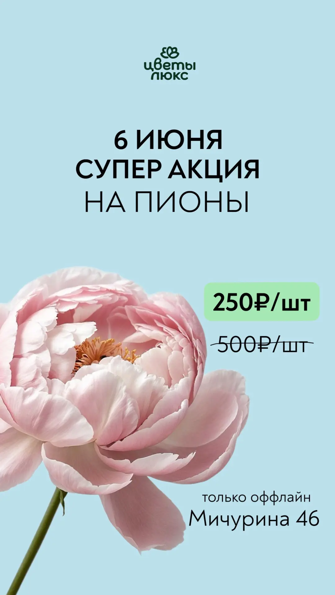 МЫ ПРОСТО ОТДАЕМ ИХ ДАРОМ! 🤯

Такого в Самаре еще не было: легендарные пионы всего по 250 ₽ вместо 