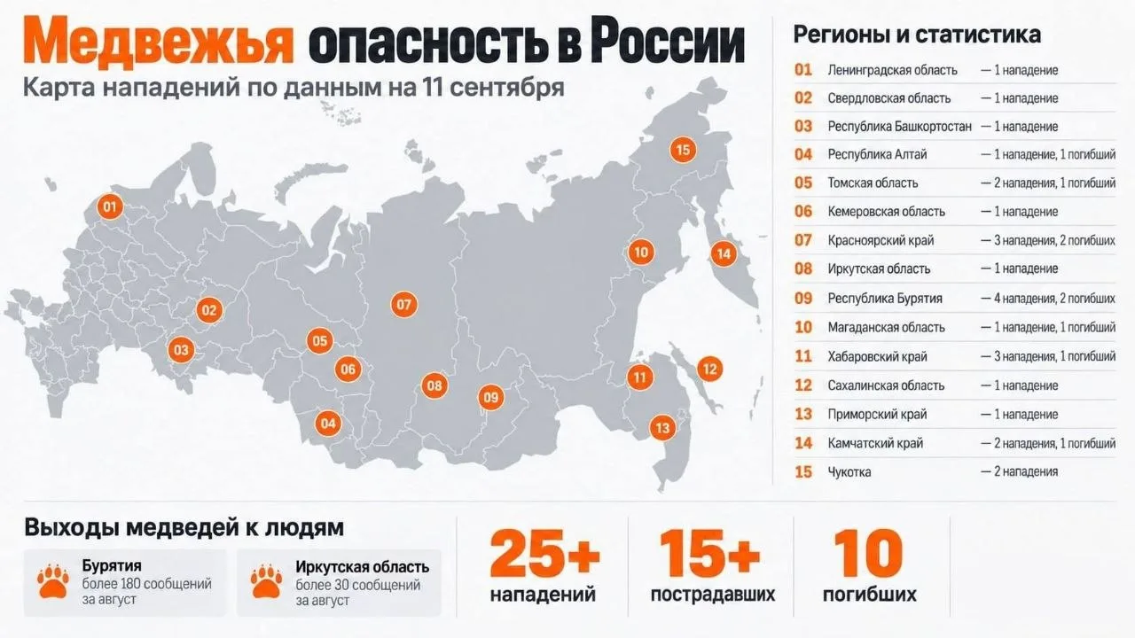 Рекордное за последние годы число нападений медведей зафиксировано в России — с начала ...