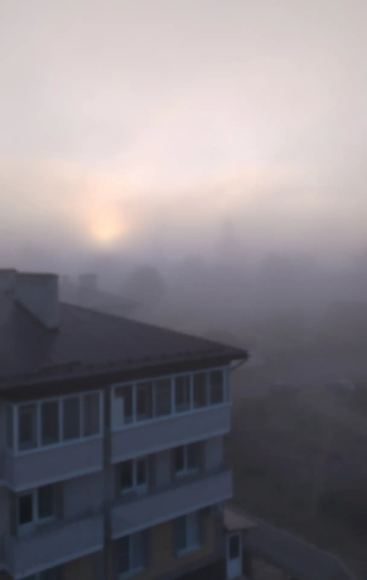 🌫 Туманное утро
