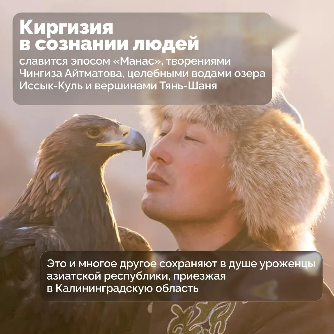 В Калининградской области проживают больше 200 представителей киргизского народа. Они в...