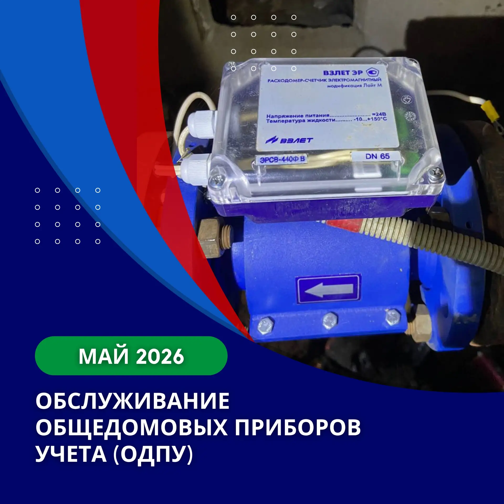 Какими станут ваши будни, если вы заведёте кота и собаку 😄