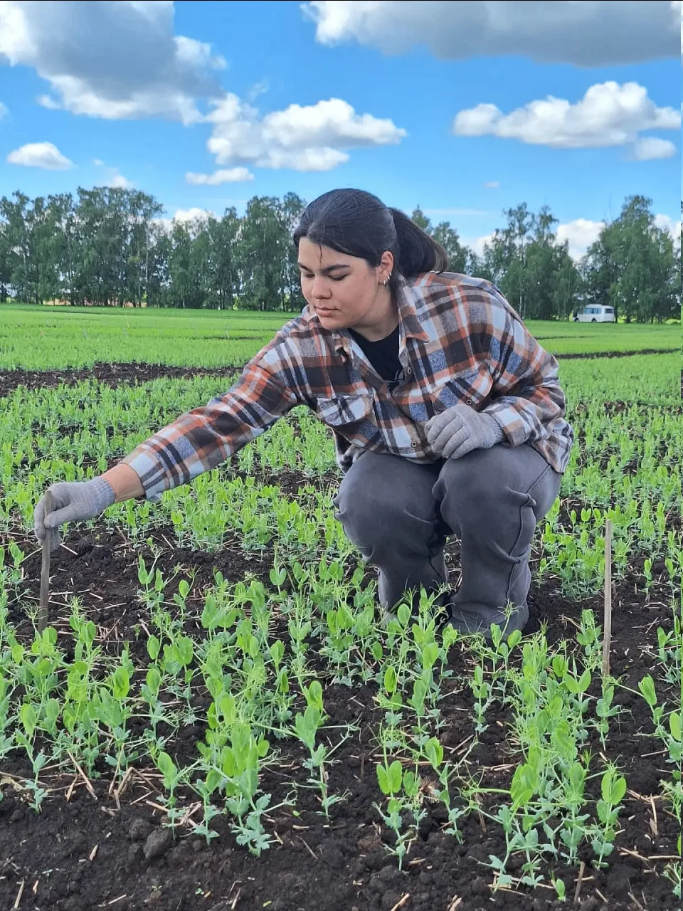 🌱 Наука, рождённая в поле: как создаётся будущее сельского хозяйства