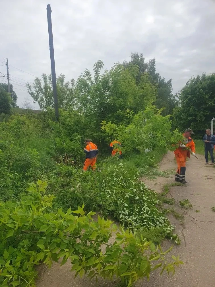 МУП «АВК» регулярно проводит покос травы и обрезку кустарников на объектах водоснабжени...