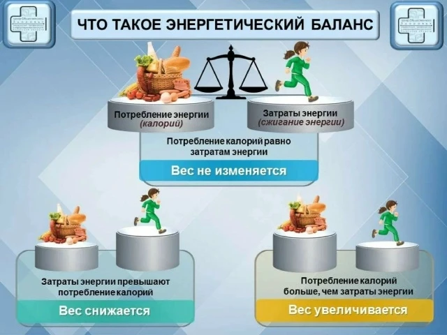 Энергетический баланс отражает соотношение между энергией, поступающей в организм с едой, и энергией