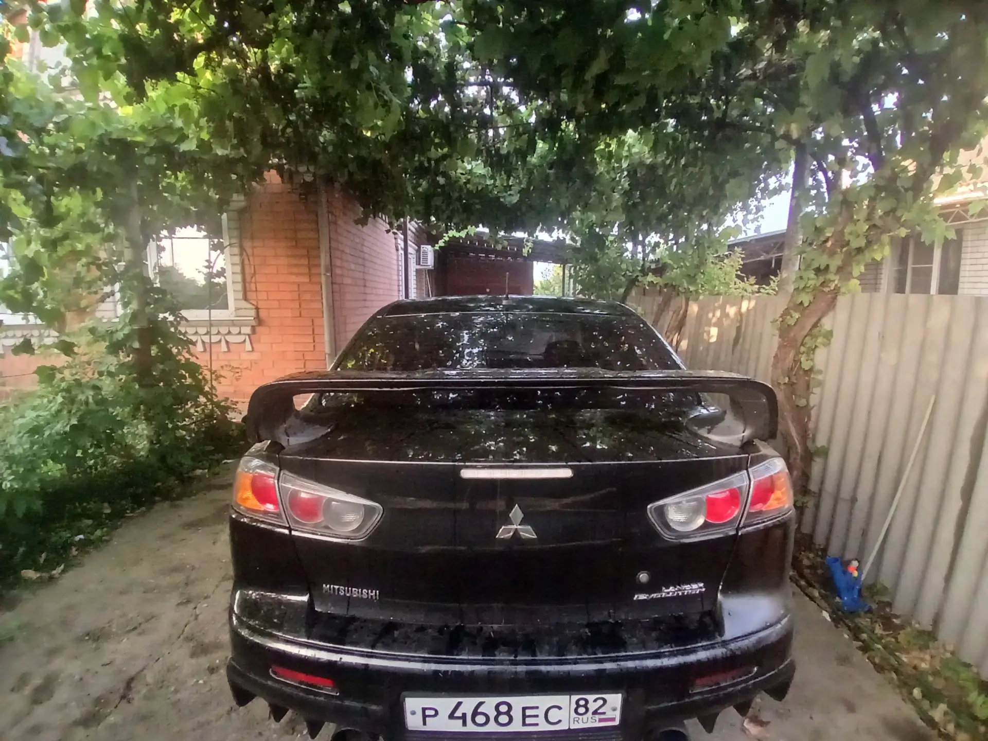 От подписчика Жук