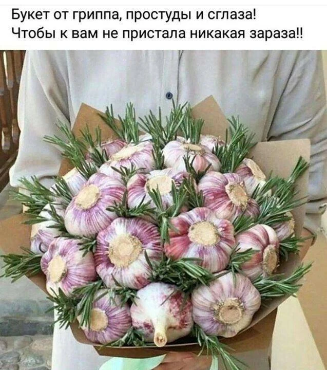 День чеснока