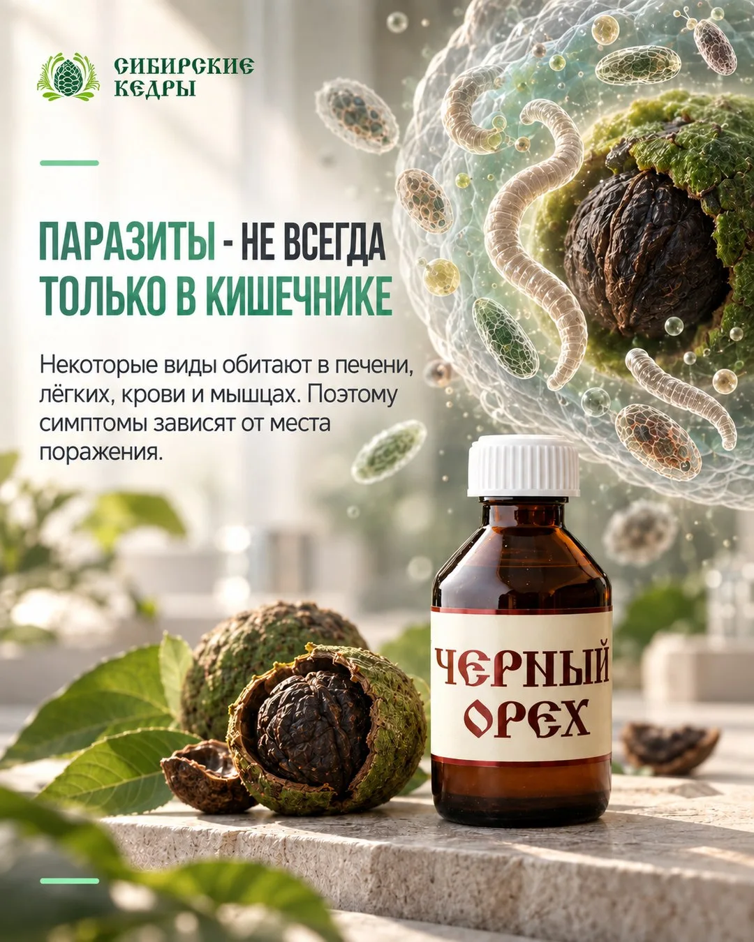 🌿 ЧЁРНЫЙ ОРЕХ + ФЛОРЕНТИННАЯ ВОДА
